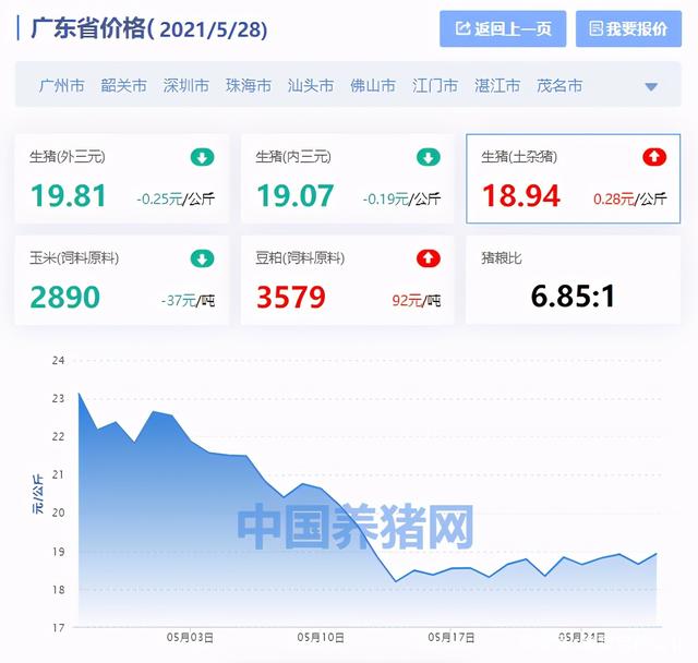 广东猪价最新价格及市场走势分析今日报告