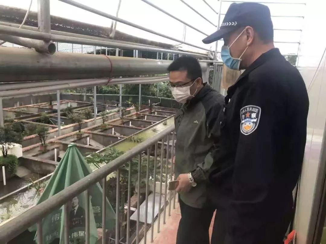 全球疫情最新动态分布图，掌握全球疫情变化的必备信息