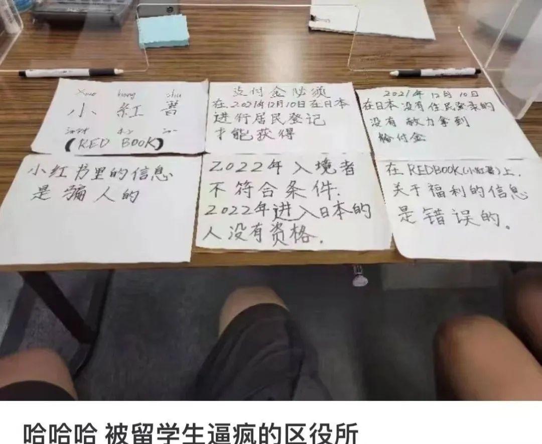 「小红书独家盘点，最新公务员岗位大盘点，你的仕途从这里起航！」