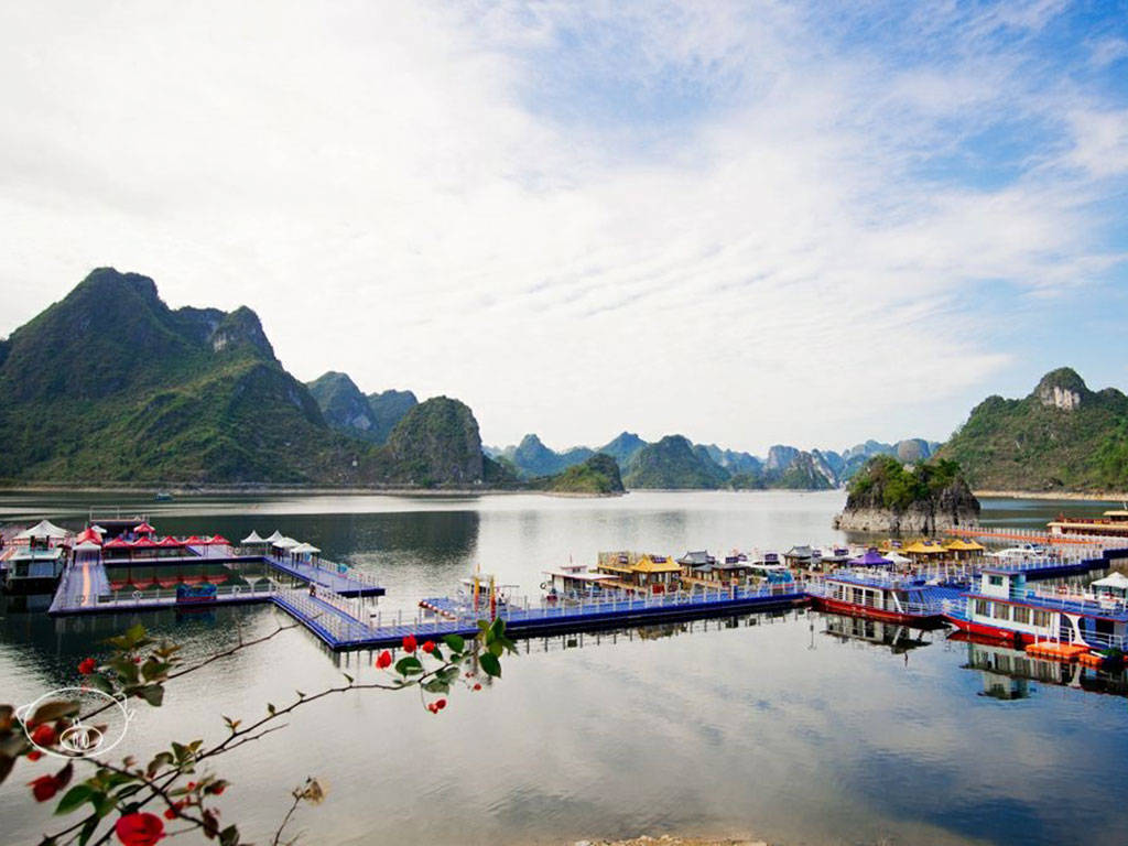 江苏省省管干部最新动态，自然美景的探索之旅