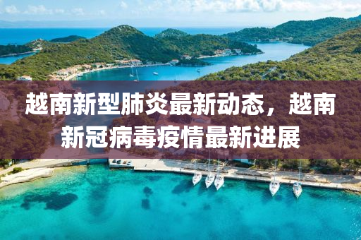 越南新肺炎疫情最新通报，心灵之旅与自然呼唤并行抗疫之路