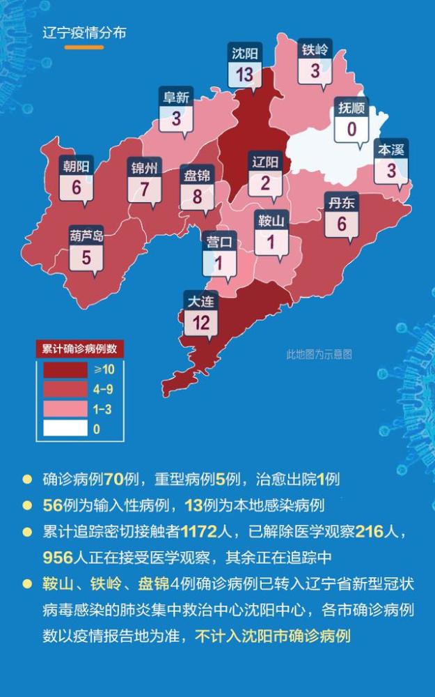辽宁冠状病毒最新通报，疫情动态与家庭温馨日常记录