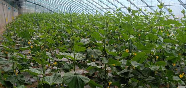 模具制造 第464页