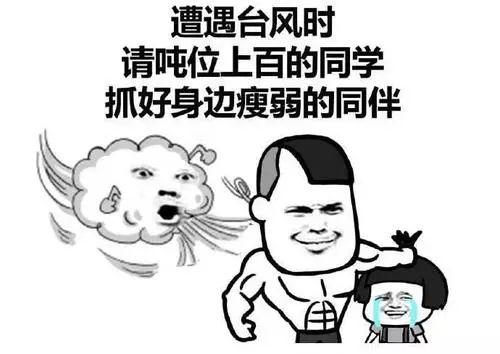 最新台风消息艾莎尼，小城冒险故事开启