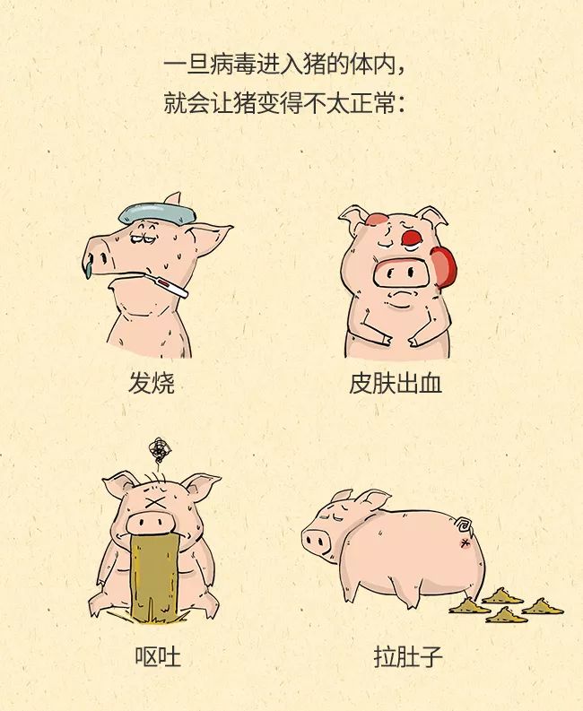 瘟情最新消息与温馨日常趣事同步更新