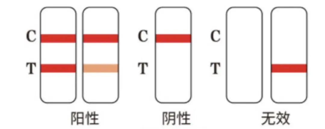 全国新冠病毒最新情况，携心启程，自然美景探索之旅