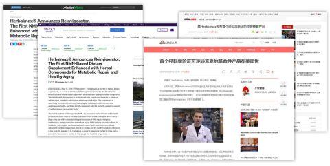 亚马逊最新品牌注册，探索特色小店的无限魅力与小巷中的秘密宝藏