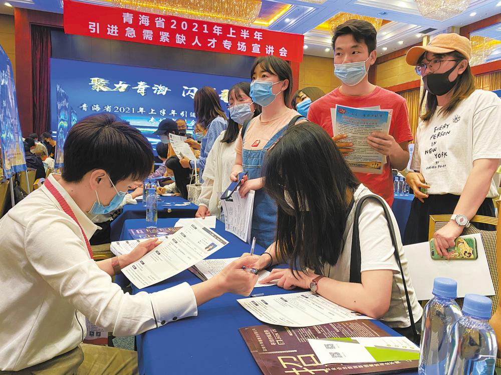 青海人才最新招聘，求职路上的奇遇与友情之旅启程