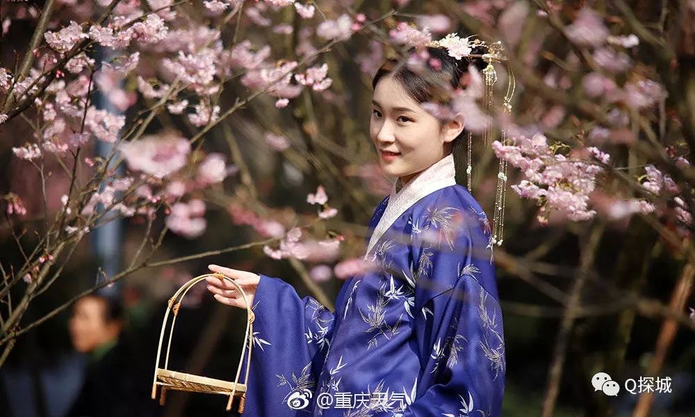 重庆南山植物园最新动态，自然之美的绽放与绿色生活的融合之美