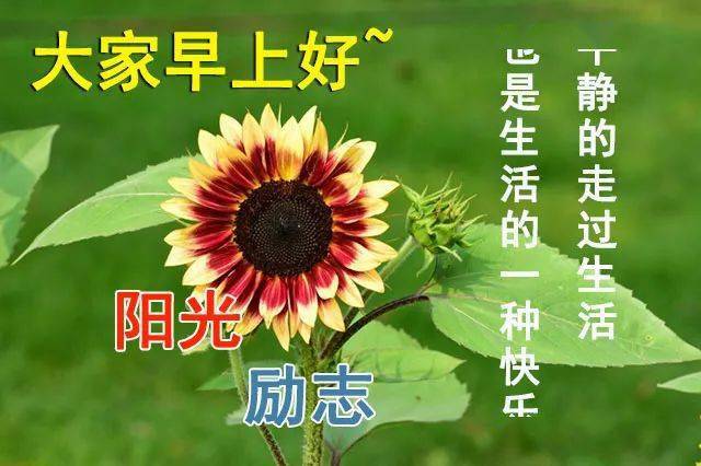 石油机械设备 第392页