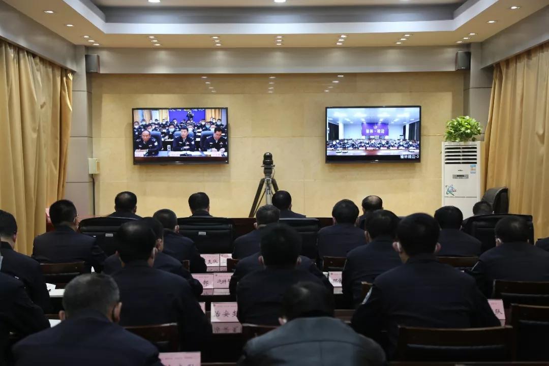 新型冠行病毒最新动态更新，病毒研究与发展概况