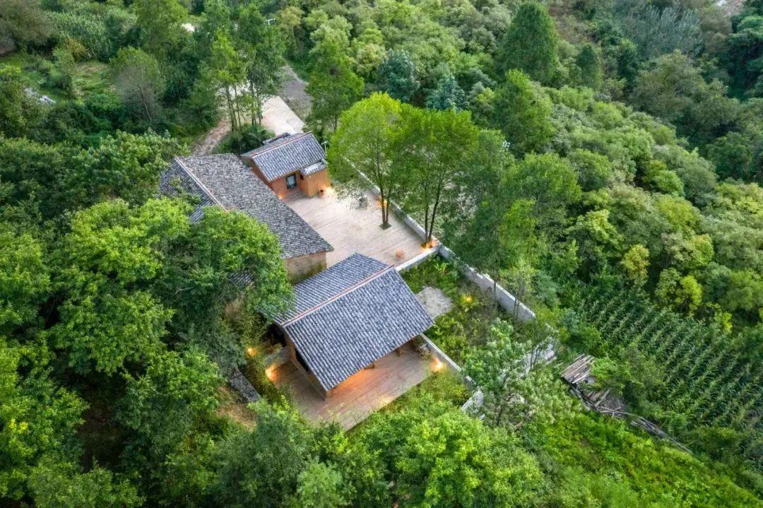 最新隔离政策下的自然探索与内心宁静之旅