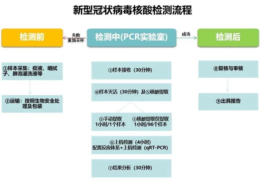 新冠病毒测试最新结果及详细步骤指南，了解新冠病毒测试的最新进展和详细步骤