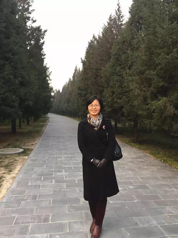 启迪古汉最新动态，自然美景探索之旅的心灵觉醒与洗涤