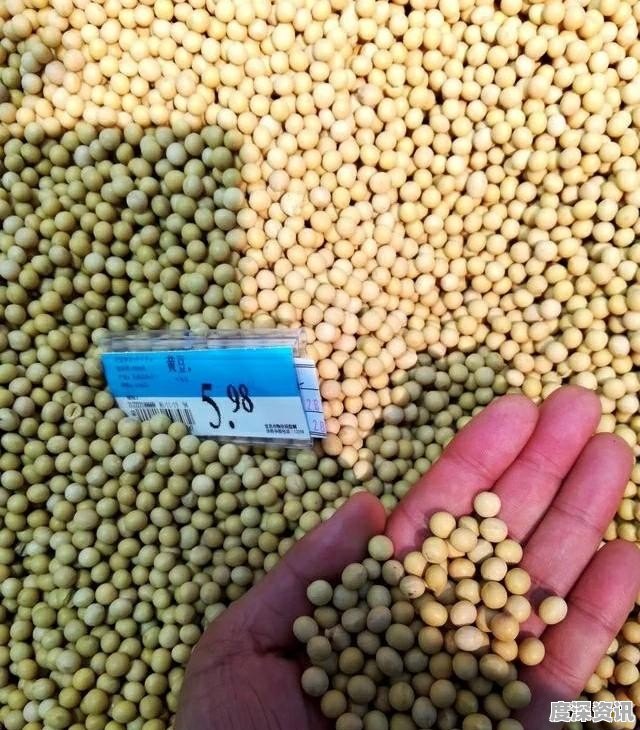 中国大豆今日最新价格行情及市场分析🌱🌽
