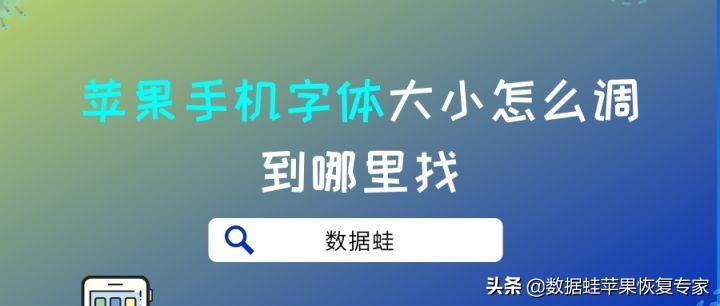 苹果最新手机购买、设置与使用指南