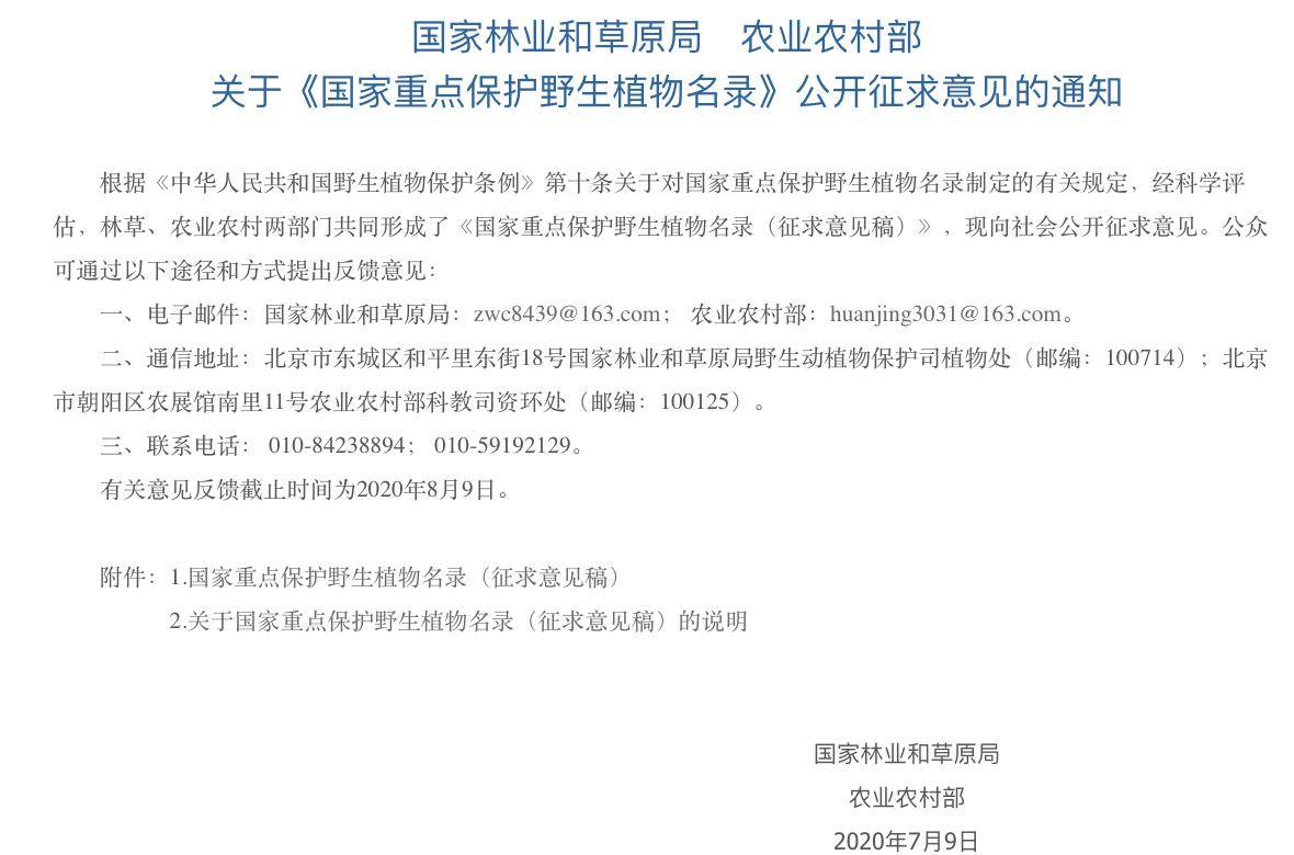 拜登最新声明启程探索自然美景，寻求内心宁静平和之旅