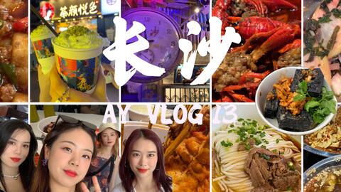 呼啦最新版本，小巷中的秘密美食之旅探索开启