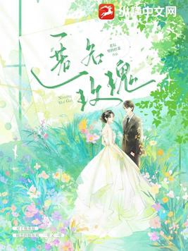 花晓芃最新章节，梦幻般的奇幻之旅