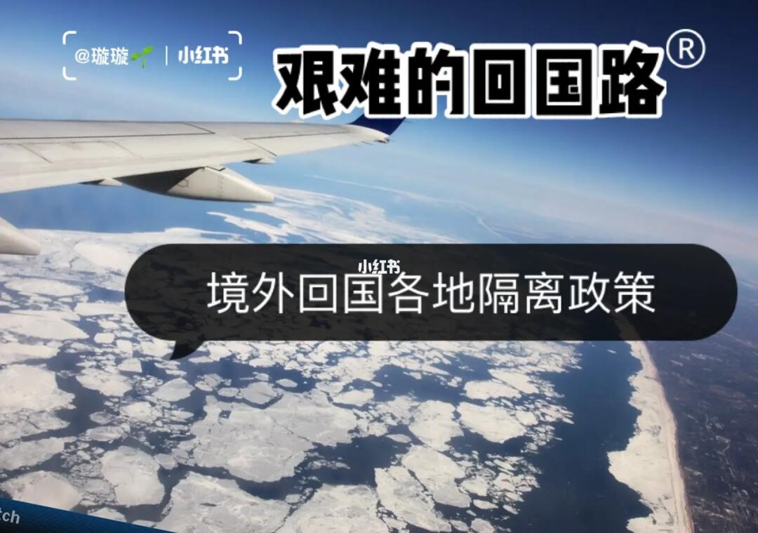 外国回国最新政策解读及攻略，必看指南✨
