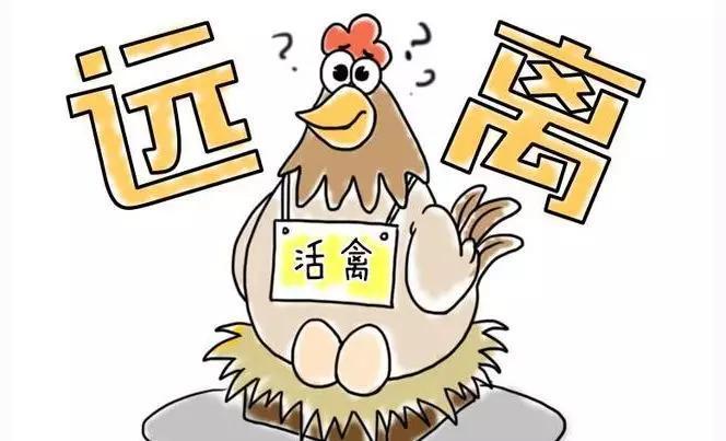 进口冷链食品最新通告，操作指南与注意事项全解析