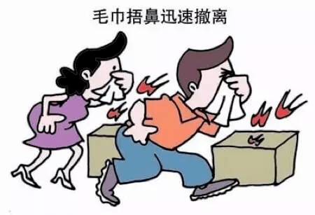 火灾最新消息广东,广东火灾最新消息，聚焦要点，科普解读