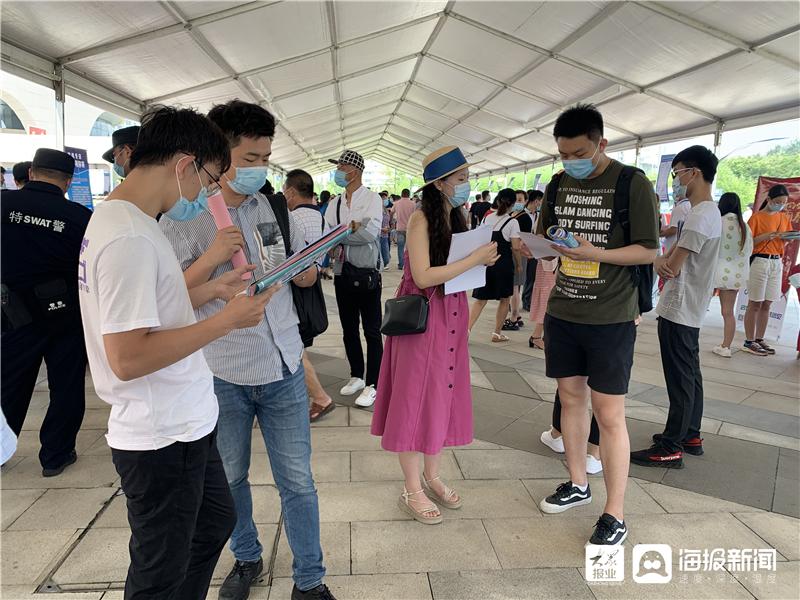 山东省最新招聘多维度解析，观点论述荟萃