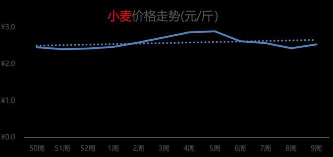 小麦价格最新动态与市场走势深度解析
