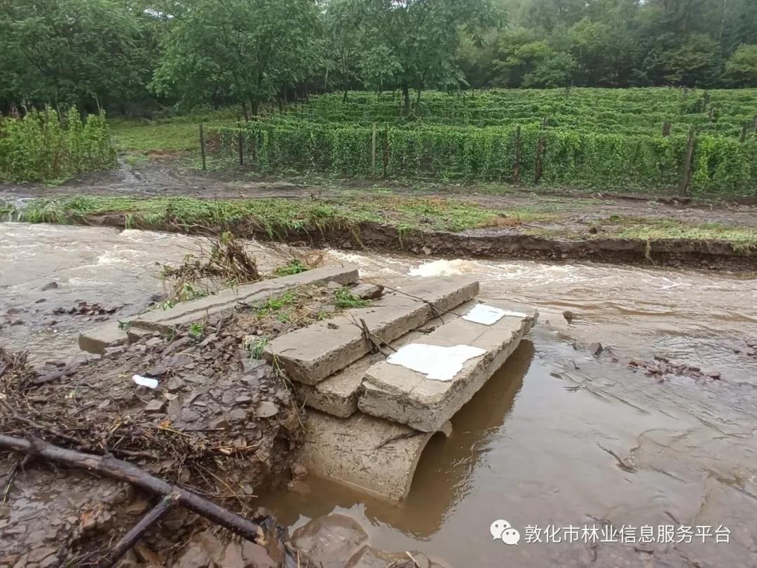 海神台风实时更新，最新动态与情况分析