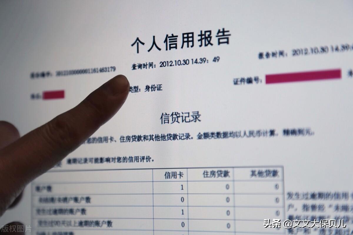 🌟最新个人信用查询系统，轻松掌握个人信用状况🌟