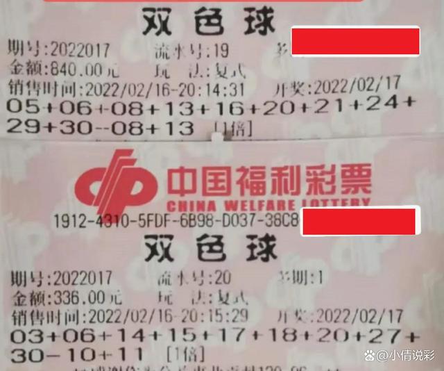 游戏双色球最新晒票，温情与游戏的交织