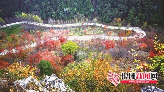 临沂罗庄区最新地址查询指南，详细解读罗庄区最新地址信息