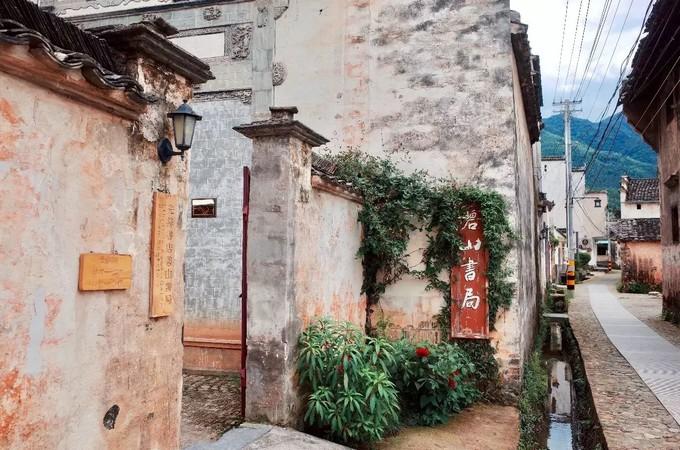 疫情防控下的自然美景探索之旅，心灵旅行的启程