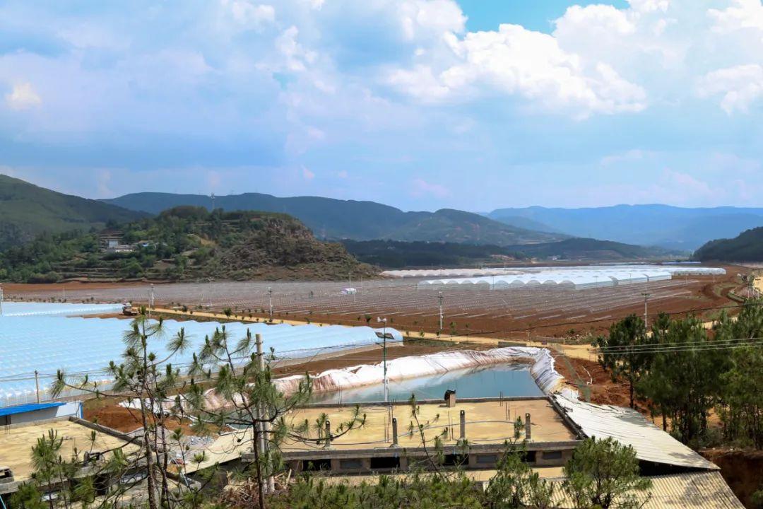 最新建水电站，机遇与挑战并存