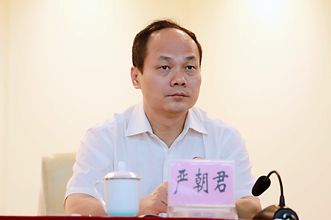 严朝君最新任职引领科技革新，塑造未来生活新境界