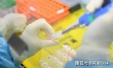 重型机械轴承 第383页