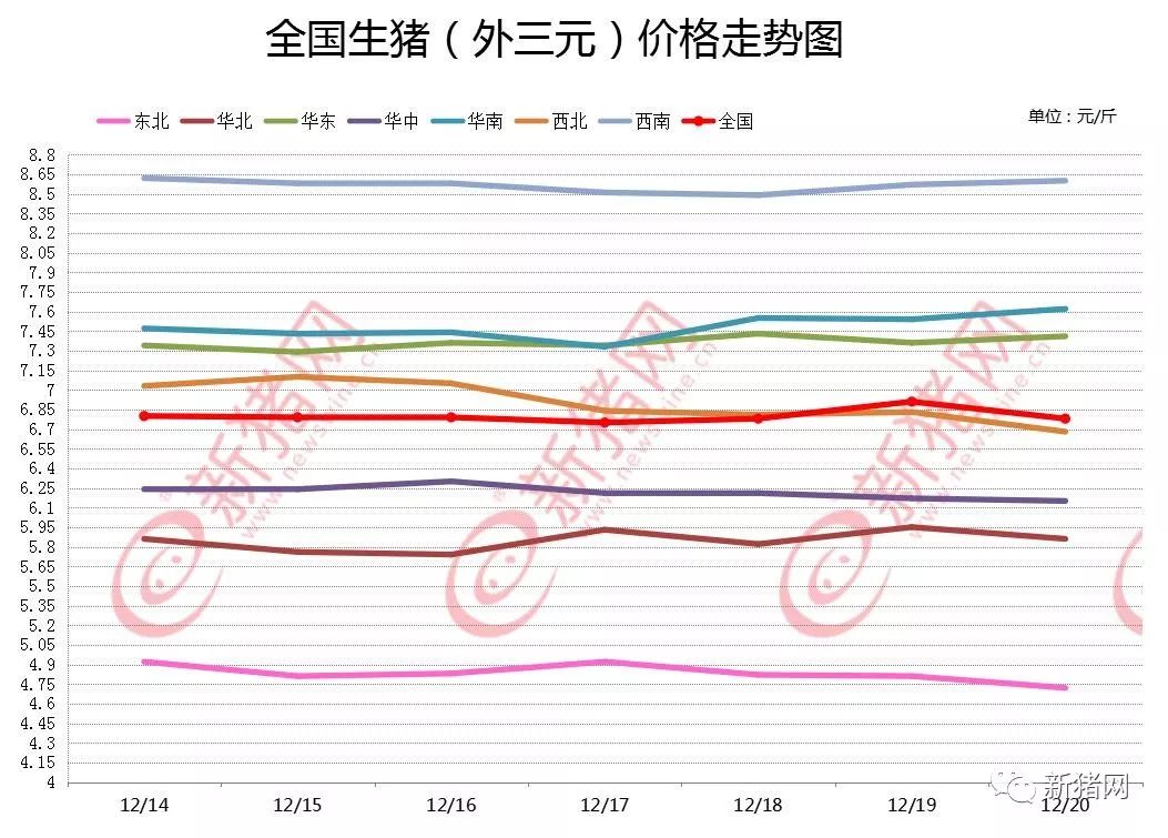 下半年猪价走势深度解析与预测