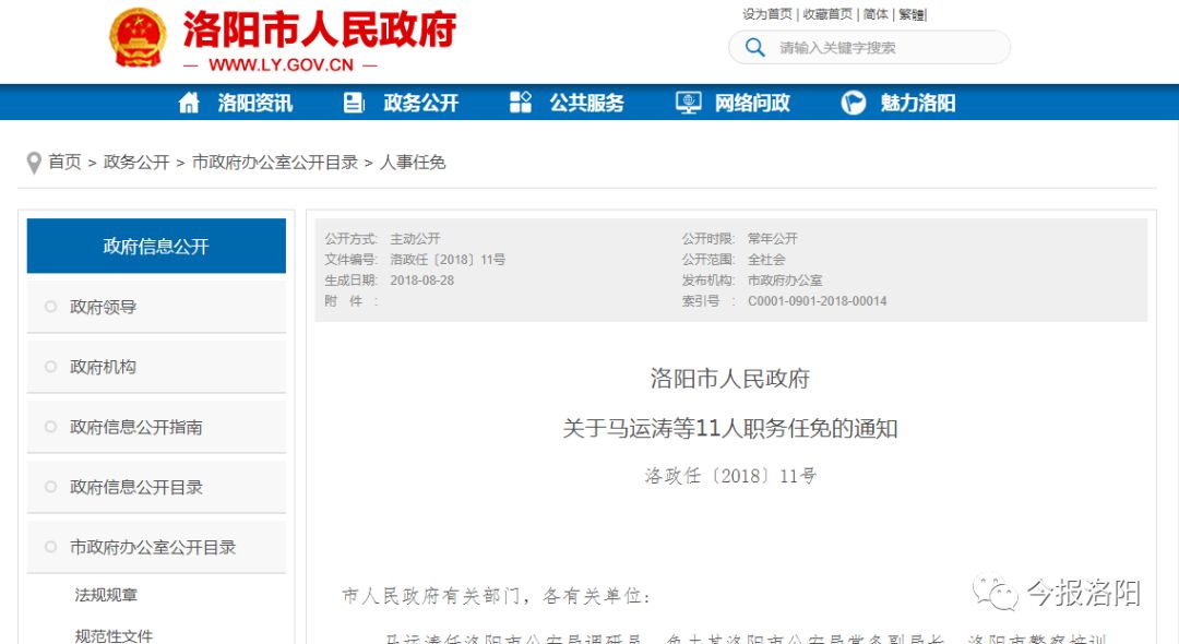 洛阳市最新人事任免动态及观点阐述