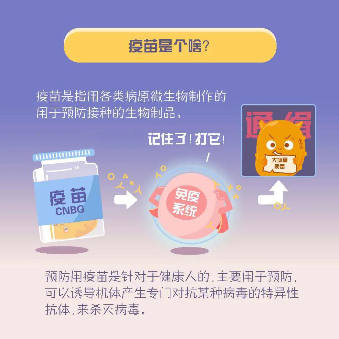 病毒疫情最新全球通报,病毒疫情最新全球通报，巷弄深处的独特风味