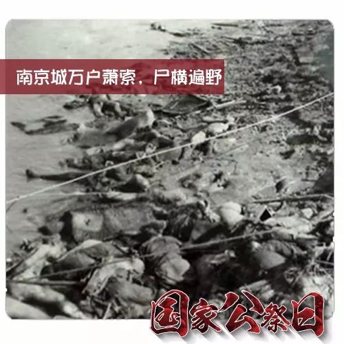 国家公祭日最新视频，自然美景探索之旅，追寻内心宁静和平和