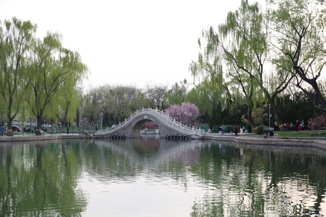 北京疫情防控最新发文，轻松探索自然美景之旅