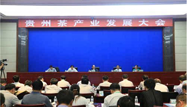 黔南州新任州长引领发展新篇章，引领黔南州迈向新高度