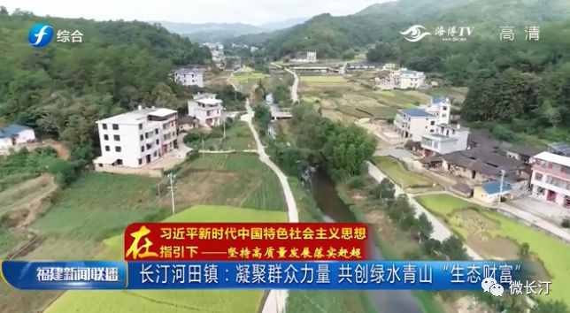 唐河大河屯最新新闻，小巷深处的独特风味美食报道