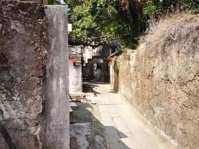 北倾最新作品揭秘，小巷中的隐藏版特色小店探索之旅