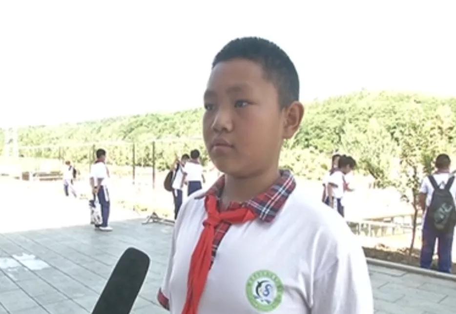 范冰冰与李晨的最新动态，自然美景中的心灵之旅揭秘