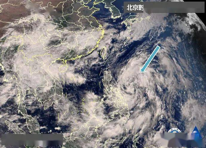 最新台风沙德尔消息揭秘，风暴的崛起与广泛影响