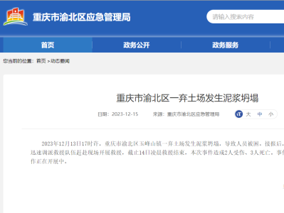 重庆渝北最新事件详解与论述