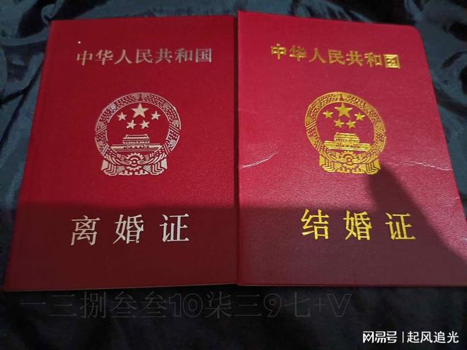 关于最新离婚证图片的探讨与解析