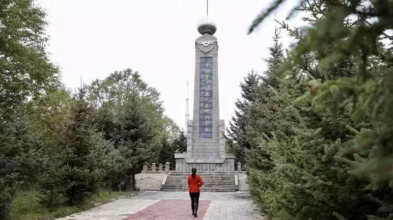 鸽行天下翱翔传奇，最新视频回顾，天际的壮丽之旅 2018版