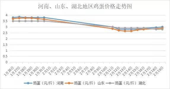 全国鸡蛋价格最新动态与小巷特色小店探秘